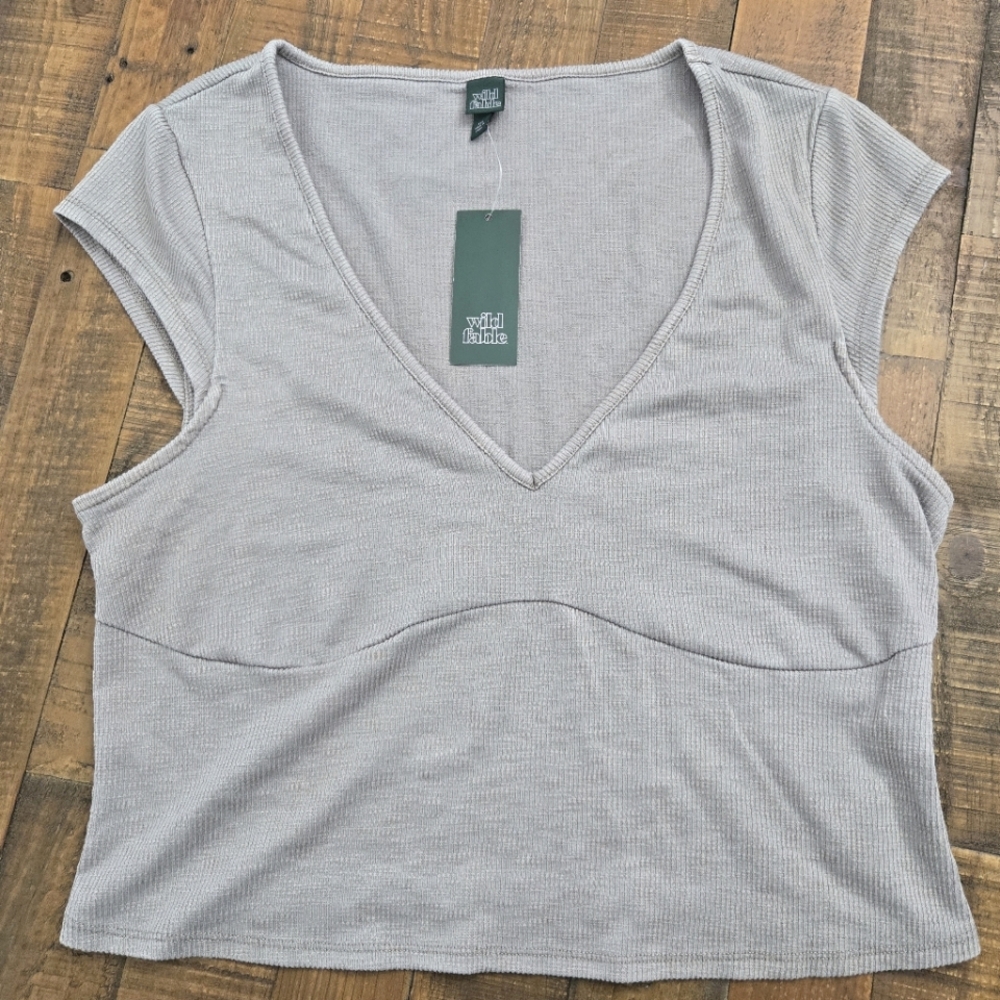Wild Fable Women's Size XXL Short Sleeve Ribbed V-Neck T-Shirt Gray